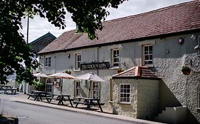 The Golden Lion, Newport, Pembrokeshire Hotel Newport (pembrokeshire) 4* United Kingdom